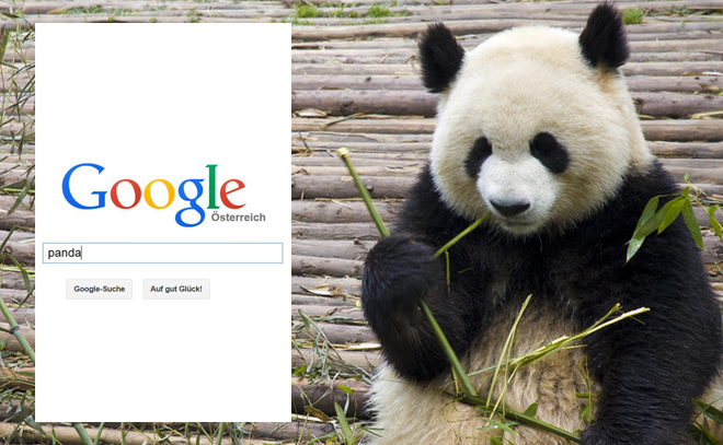 Google Panda bevorzugt hochwertigen Content